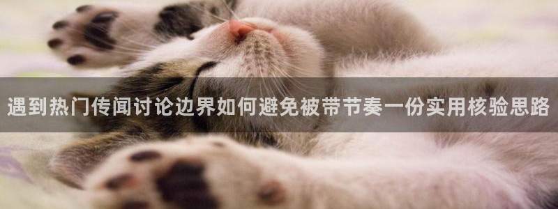 网络事件动态