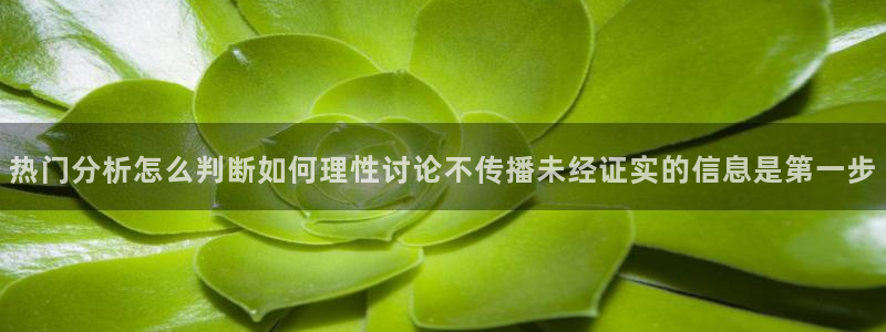 黑料爆料网站导航