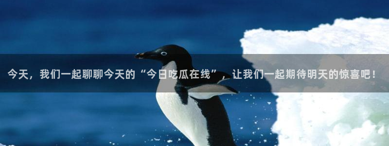 黑料资讯网站