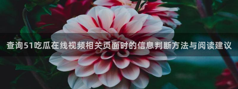 热门网络资讯