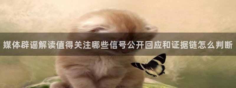 资讯爆料网:媒体辟谣解读值得关注哪些信号公开回应和证据链怎么判断