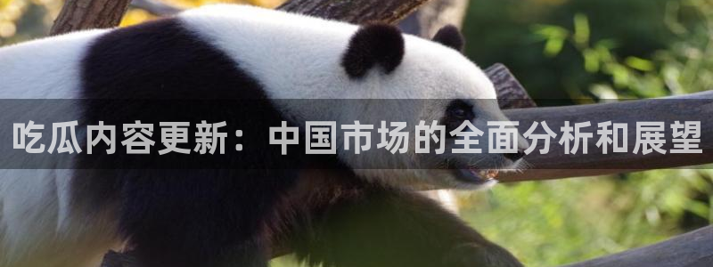 黑料爆料资讯搜索：吃瓜内容更新：中国市场的全面分析和展望